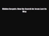 PDF Hidden Gospels: How the Search for Jesus Lost Its Way pdf book free