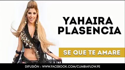 YAHAIRA PLASENCIA   SE QUE TE AMARE (FULL HD)