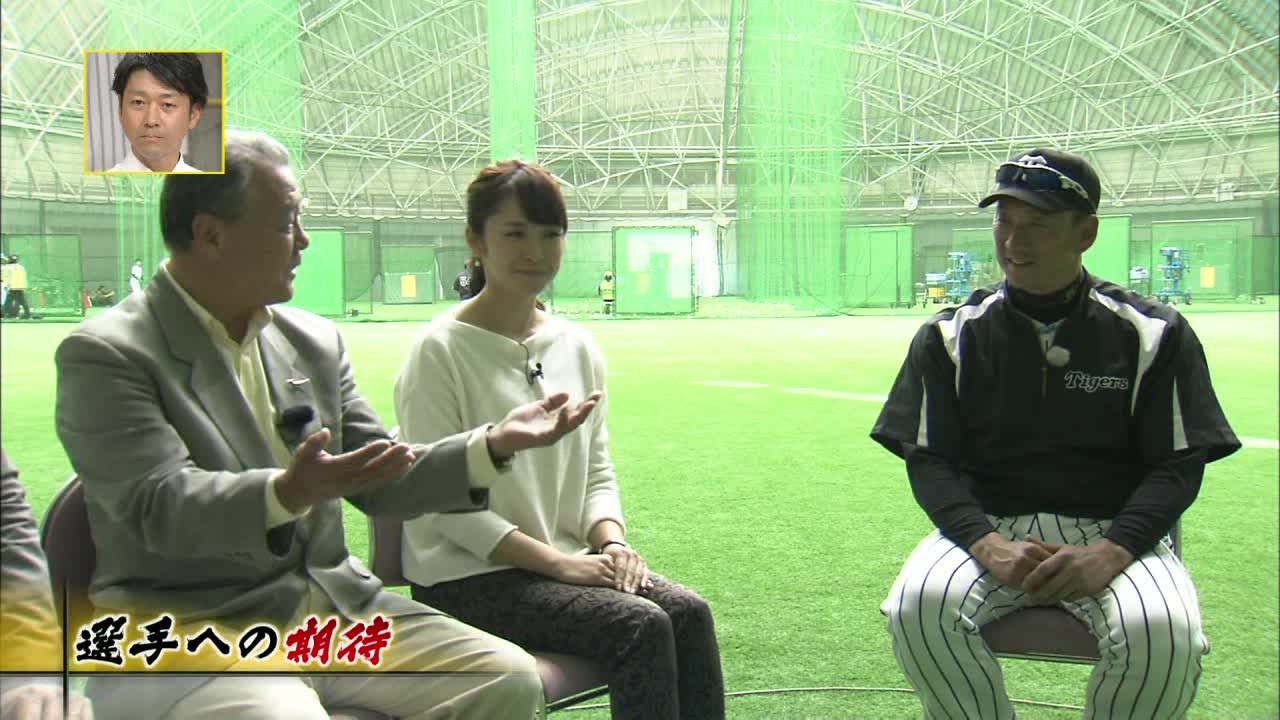 熱血！タイガース党 2016.02.12 沖縄キャンプ情報