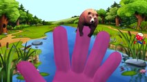 Finger Family Rhymes Bear Dinosaurs | Elephant Cartoons Finger Family Children Nursery Rhy