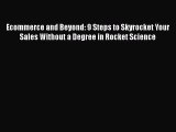 PDF Ecommerce and Beyond: 9 Steps to Skyrocket Your Sales Without a Degree in Rocket Science