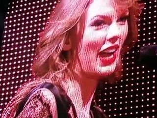 Cat Prank: Taylor Swift - All Too Well