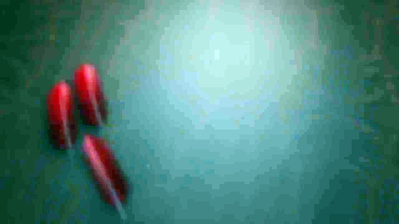 THE ANGRY BIRDS MOVIE - Happy Chinese New Year! (2016) Animated Comedy Movie HD