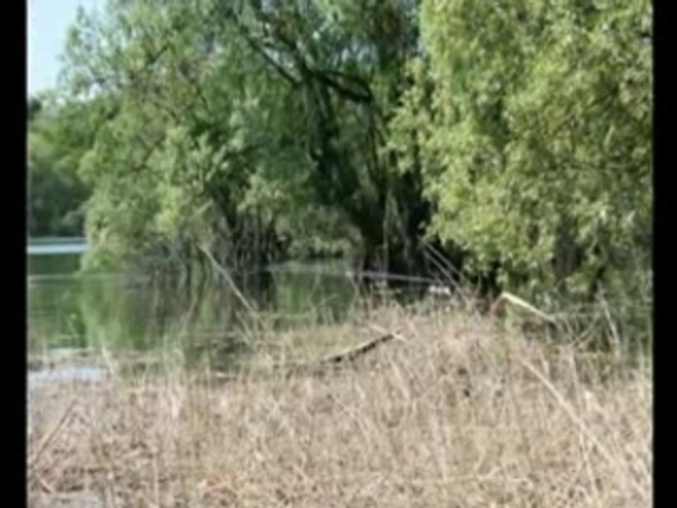 orient condom's lake
