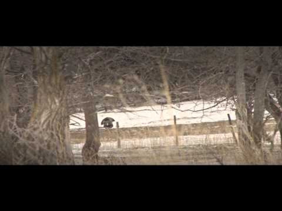 Raised Hunting - Rewards