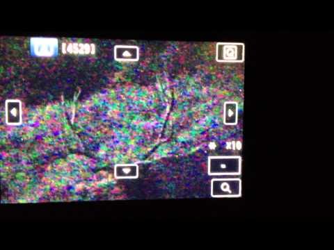 SOLO Hunter TV - Nevada Archery Elk