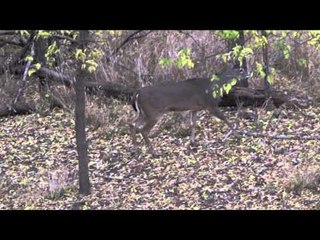 Outdoor Edge Love of the Hunt  - Kansas Part 3