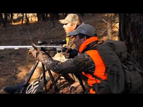 The Zone - Run and Gun Whitetails