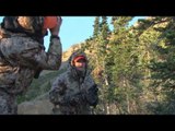 Extreme Outer Limits TV - Wyoming Mule Deer