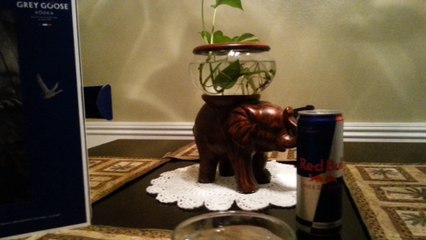 Grey Goose Vodka