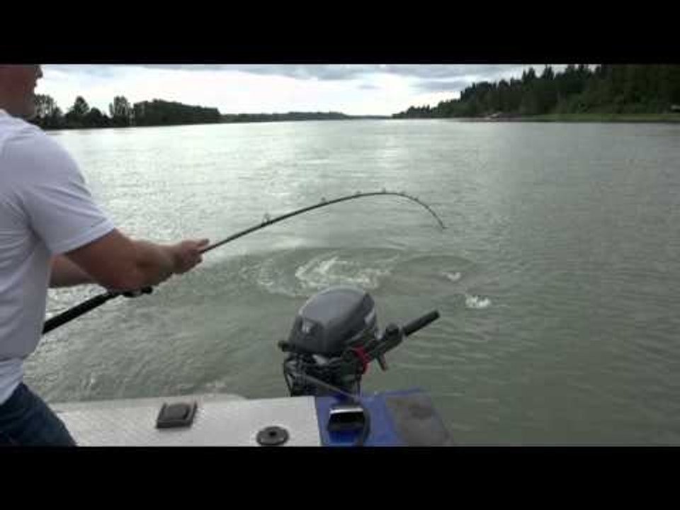 Sportsman 360 TV  - British Columbia Sturgeon