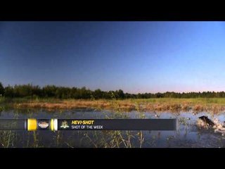 SportingDog Adventures - Eli Haydel, The Waterfowl Legend