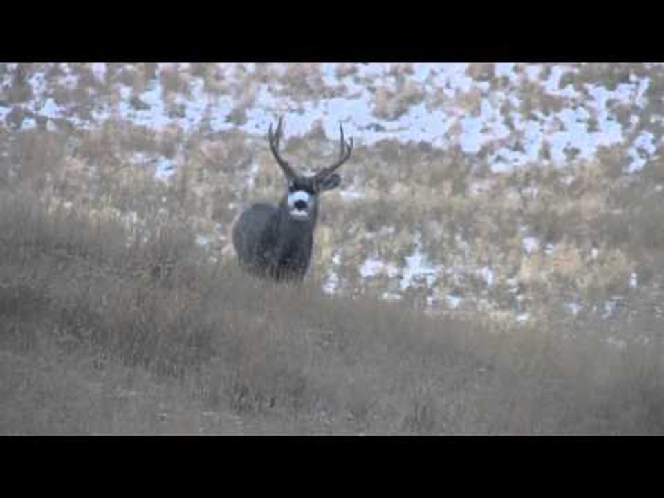 Campfire Stories - Hunting in The Elements