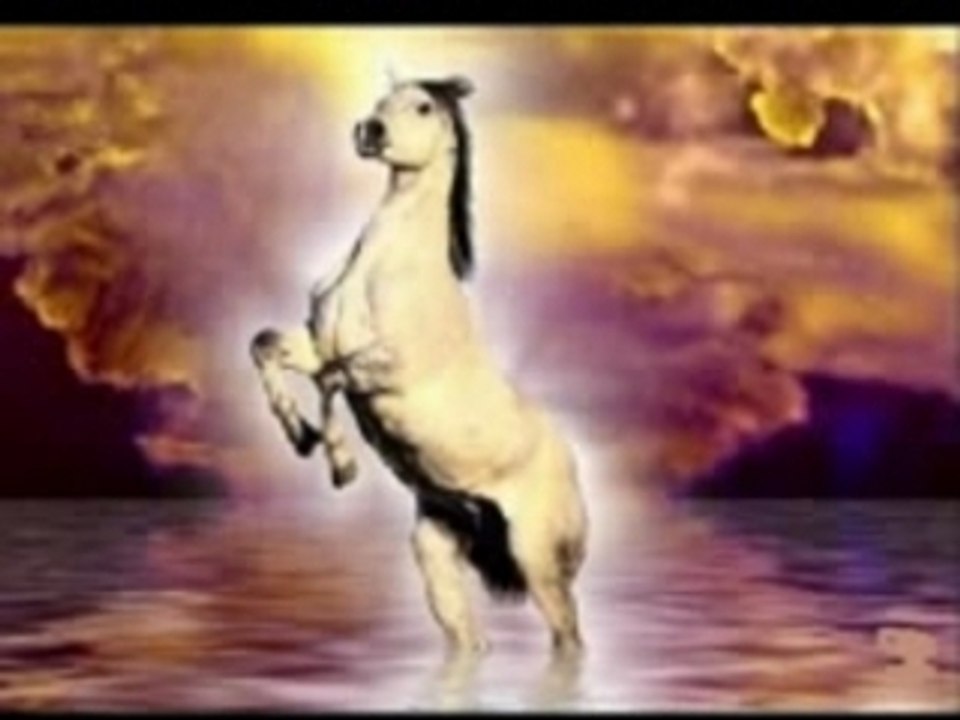 LE CHEVAL