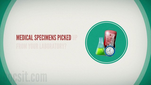 Bocsit SameDay Delivery Courier Services in Boston