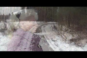 Дорога к седине - Елена Конькова