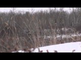 Fatal Impact Outdoors - Mule Deer Hunting