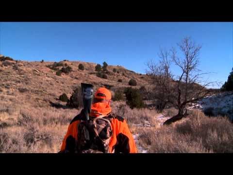 Steve's Outdoor Adventures - Big Sky Montana Deer Hunt