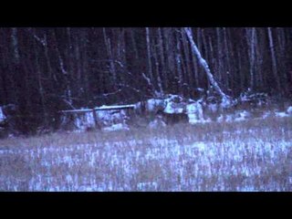 The Bone Yard - Click, Click, BOOM!