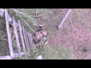 Trigger Effect - BC vs. MB Part 2