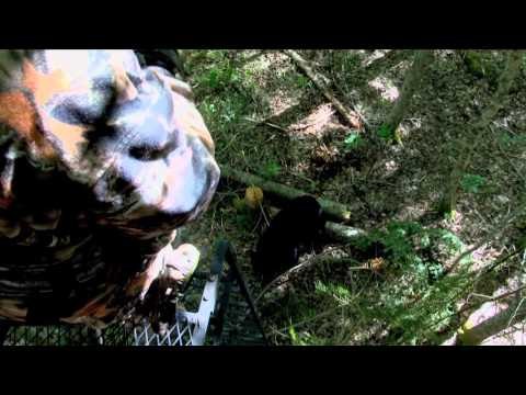 Mathews TV with Dave Watson - Canadian Black Bear Hunts