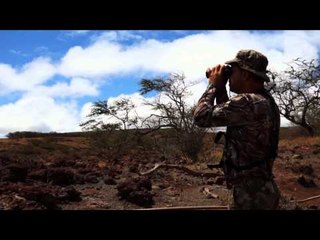 Long Range Pursuit - Axis Deer in Paradise