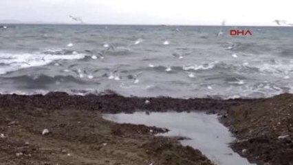 Çanakkale Lodos Dalgaları