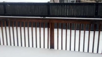 Snow Fall Edmonton Hina Asad 13 Feb 2016