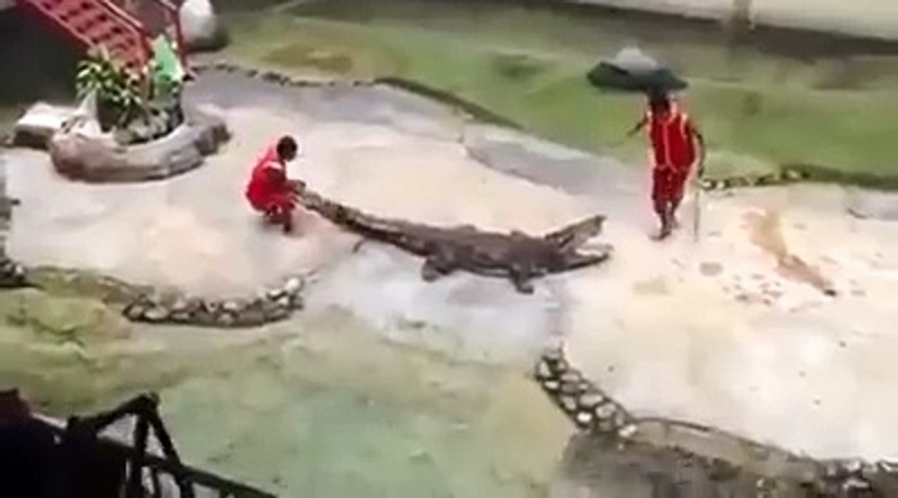 brutal