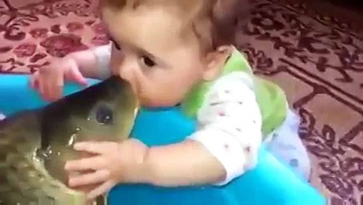 В место котёнка заведите карпёнка