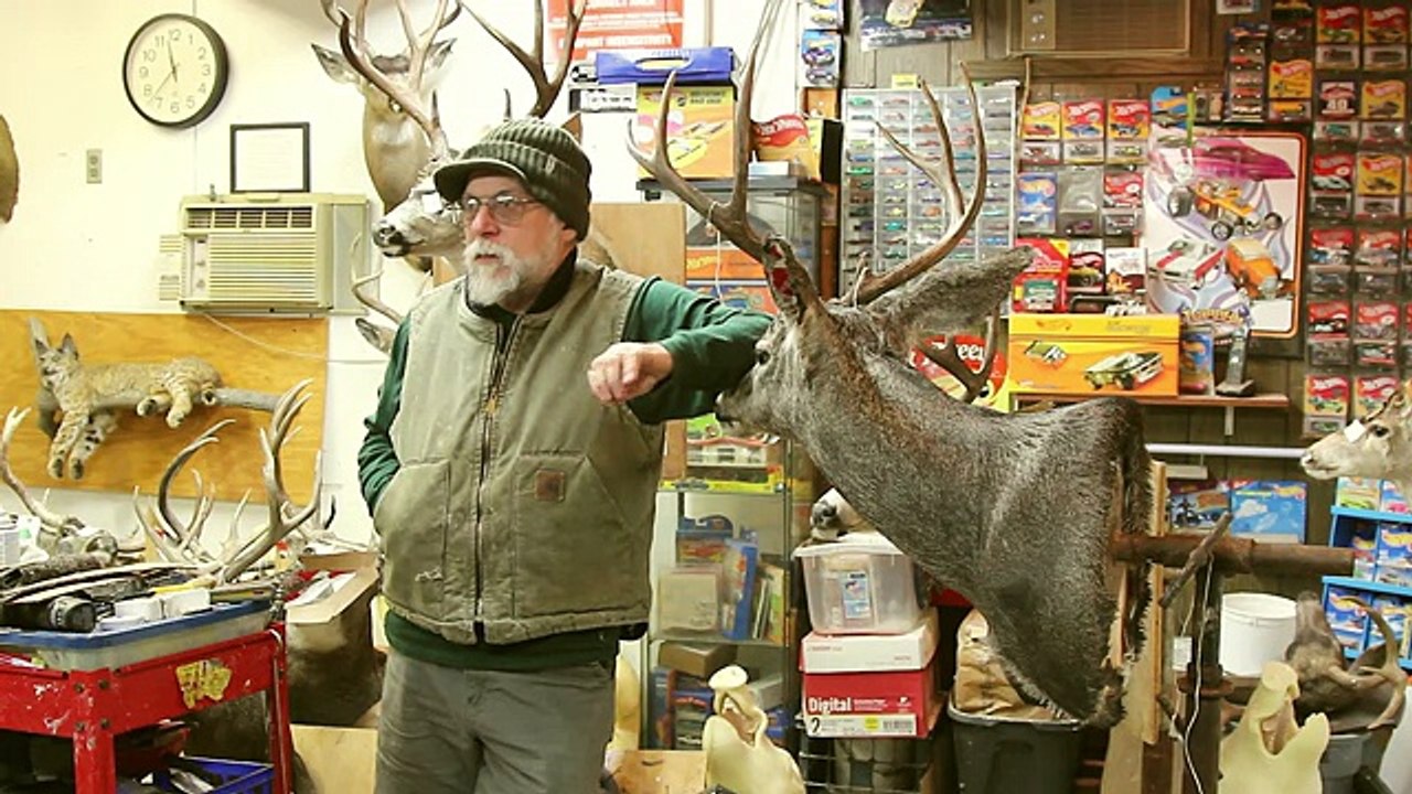 How to groom the fur, card, and reduce seams on a deer - Chuck's Tuesday Tips