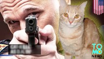 Cat-killer cop may be charged with animal cruelty after shooting Sugar, a lost tabby - TomoNews