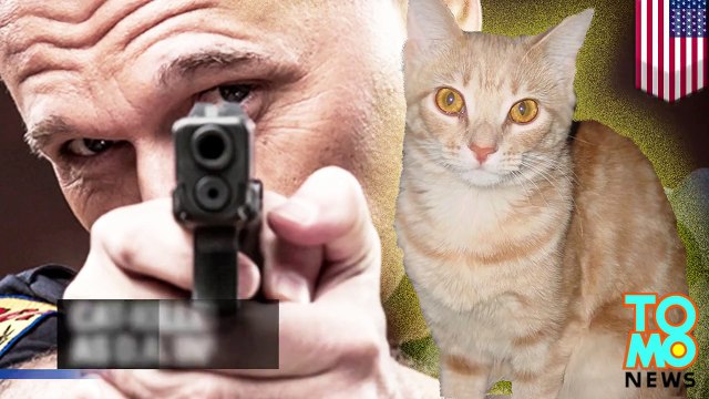 Cat-killer cop may be charged with animal cruelty after shooting Sugar, a lost tabby - TomoNews