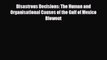 [PDF] Disastrous Decisions: The Human and Organisational Causes of the Gulf of Mexico Blowout