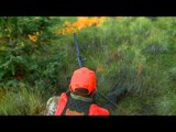 Primos - The Truth About Hunting - Elk Hunting in Colorado at the Hill Ranch