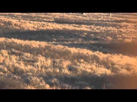 Buck Ventures Outdoors - No Time Like the First Time