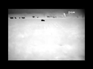 Predator Nation - Predator Do It In The Dark