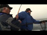 BC Outdoors Sport Fishing - Imitating Bait