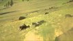 Flatliners - Okanagan Sheep Hunt
