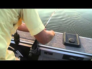 G3 Sportsman - Drifting Cats