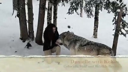 Il devais pas avoir faim ...