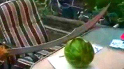 Kılıçla Karpuzu Iskalayınca Cam Masayı Kırdı