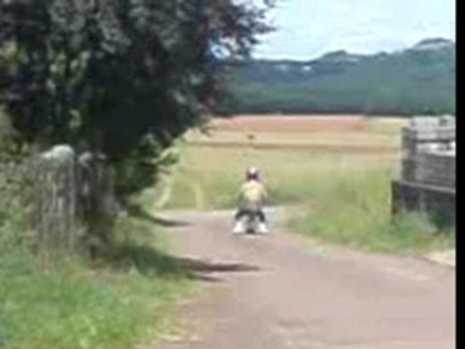 MOV00785