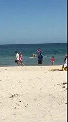 surfing dog in Australia (FULL HD)