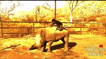 Ultimate Thug Life Compilation #4