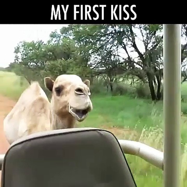 My first kiss