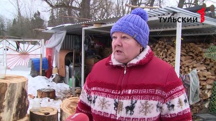 Тульскую область атакуют снежные блохи