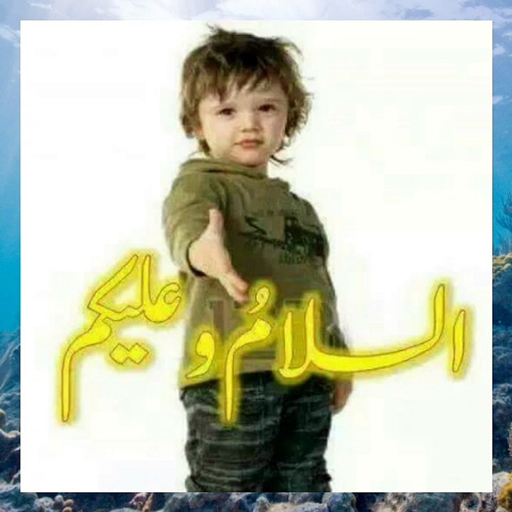 Sain Bux Dal