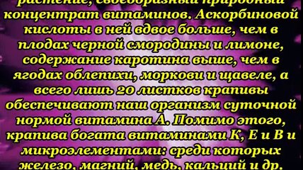 ЗАЧЕМ НАМ ЕСТЬ КРАПИВУ-