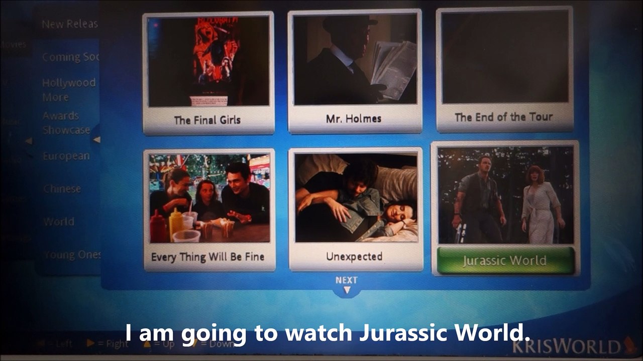 Singapore Airlines Amsterdam to Singapore Pernakan Food Flight Review